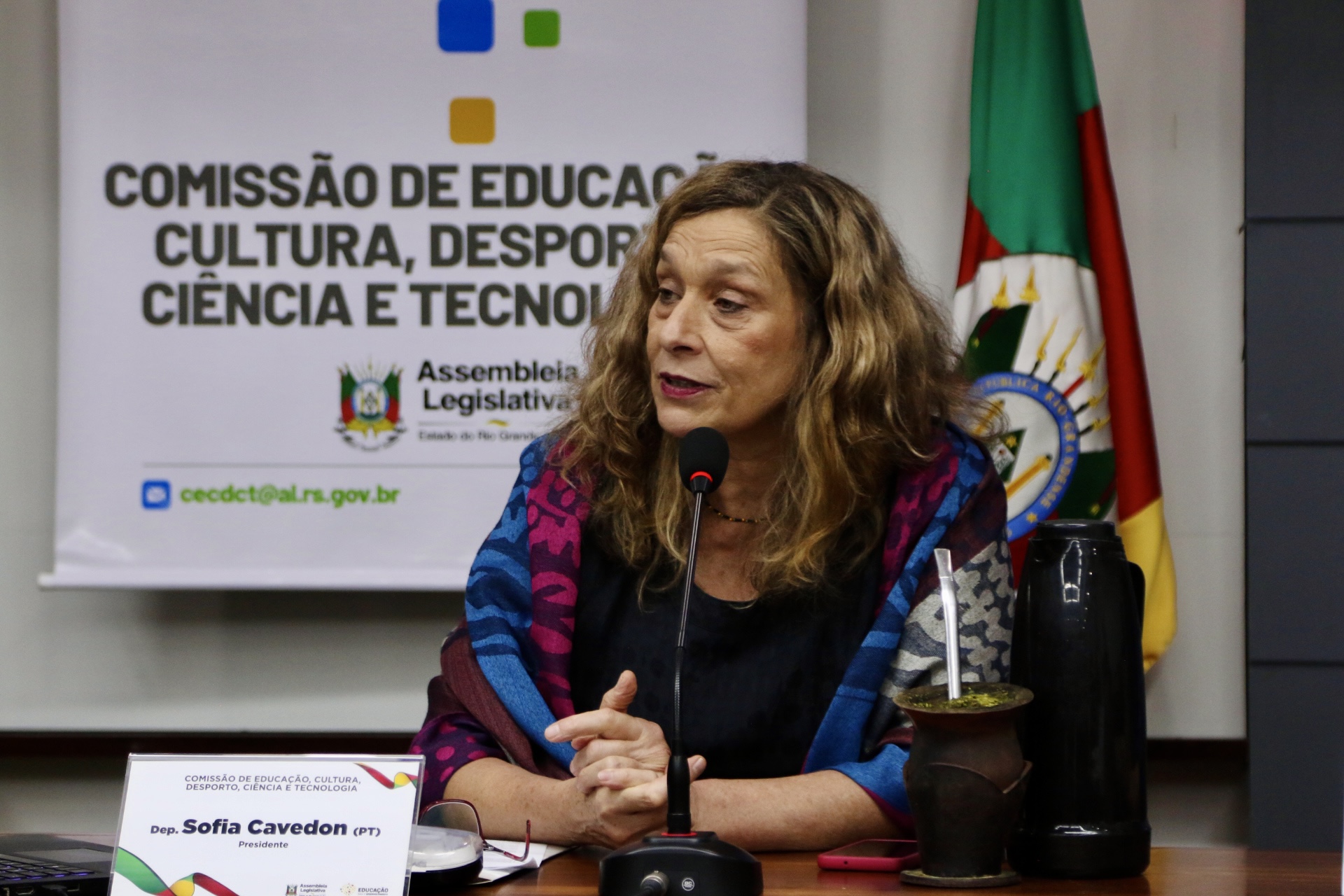 Sofia Cavedon presidindo a comissão de Educação Cultura, Desporto, Ciência e Tecnologia (Foto: Débora Beina)