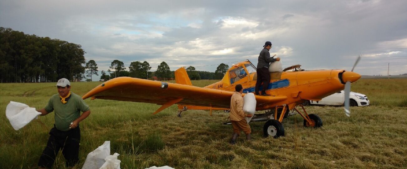 Estância Luz de São João locou avião para realizar a sobressemeadura - ARQUIVO PESSOAL, CELSO JALOTO