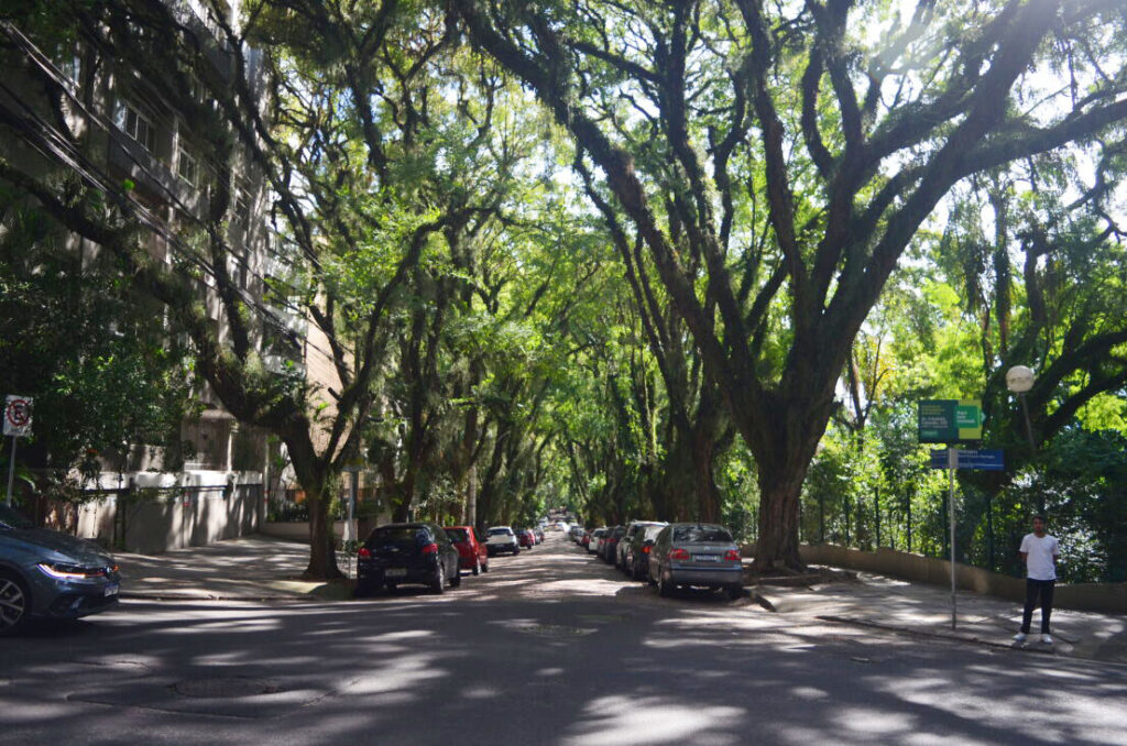 Porto Alegre ganha o reconhecimento de Cidade das Árvores