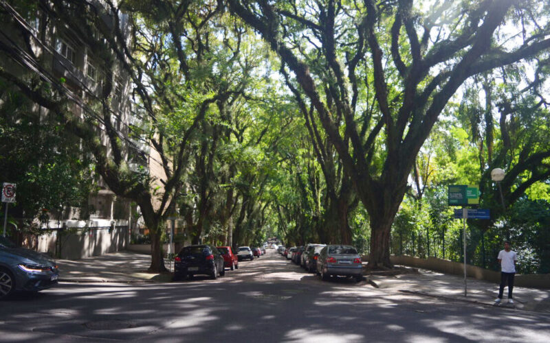 Porto Alegre ganha o reconhecimento de Cidade das Árvores