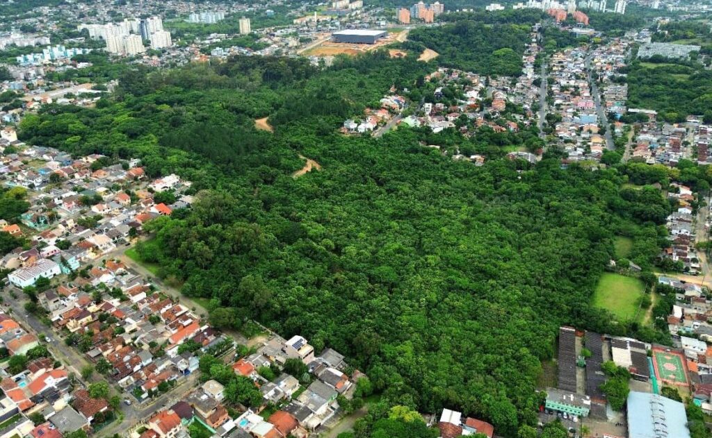 Denúncia contra projeto do Zaffari expõe falhas no licenciamento ambiental em Porto Alegre