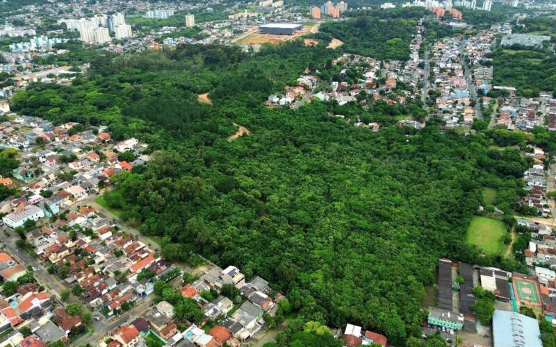 Denúncia contra projeto do Zaffari expõe falhas no licenciamento ambiental em Porto Alegre