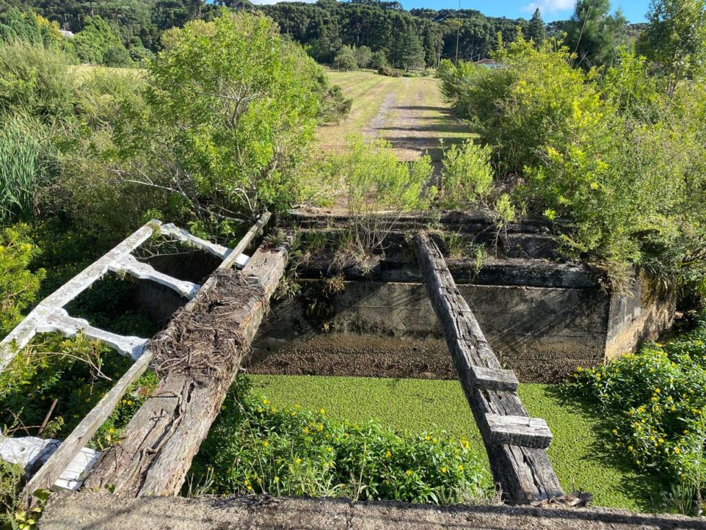 Ponte de acesso até o Palácio das Hortênsias por dentro do Parque do Palácio