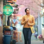 Índia e Coréia do Sul: vale a pena assistir à trama Made in Korea?