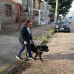 Caminho guiado em quatro patas