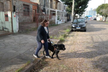 Caminho guiado em quatro patas