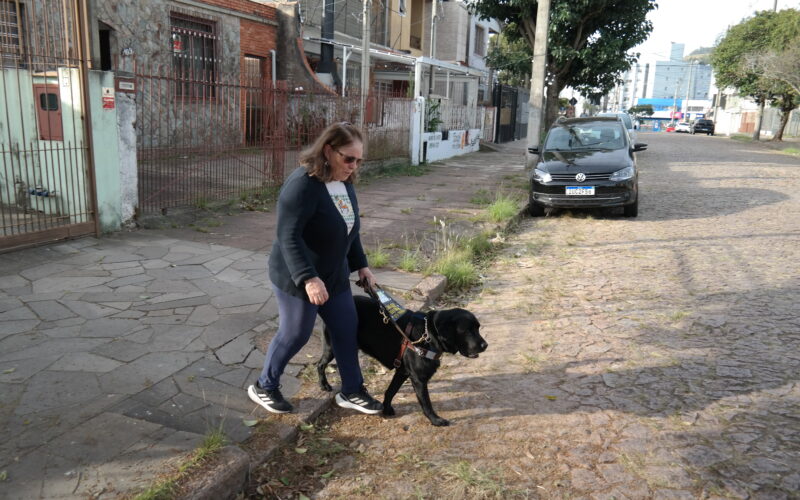Caminho guiado em quatro patas