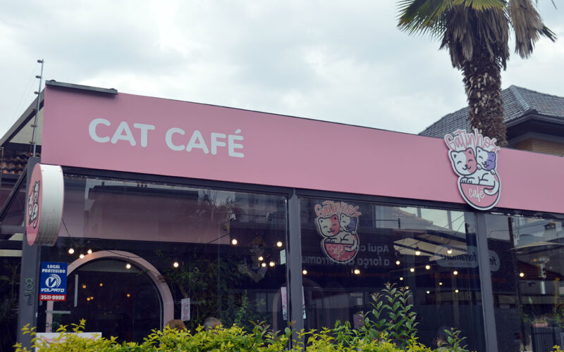 Gatinhos Café completa três anos com faturamento de R$ 1 milhão e cerca de mil adoções