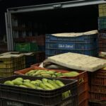 Para os produtores da Ceasa, o dia começa quando a cidade dorme.