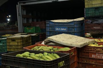 Para os produtores da Ceasa, o dia começa quando a cidade dorme.